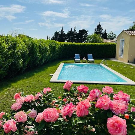 Un Coin Tropical En Provence ! Ξενοδοχείο LʼIsle-sur-la-Sorgue Εξωτερικό φωτογραφία