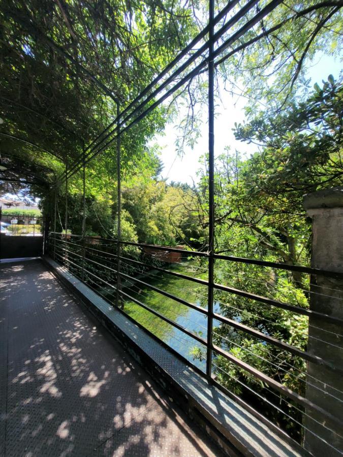 Un Coin Tropical En Provence ! Ξενοδοχείο LʼIsle-sur-la-Sorgue Εξωτερικό φωτογραφία